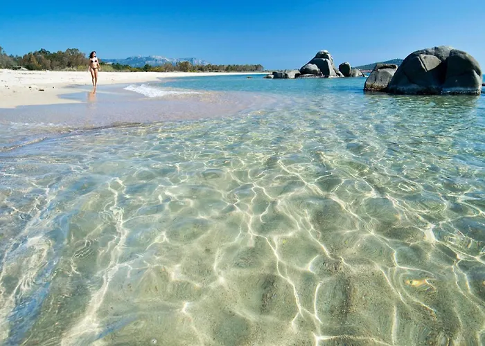 Дом отдыха Maria Teresa's Large Open Space Indipendent Кардеду